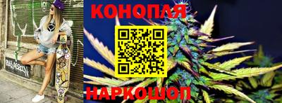 крисы Жуковский