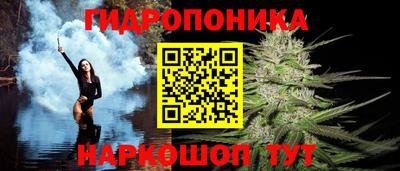 твердый Заводоуковск