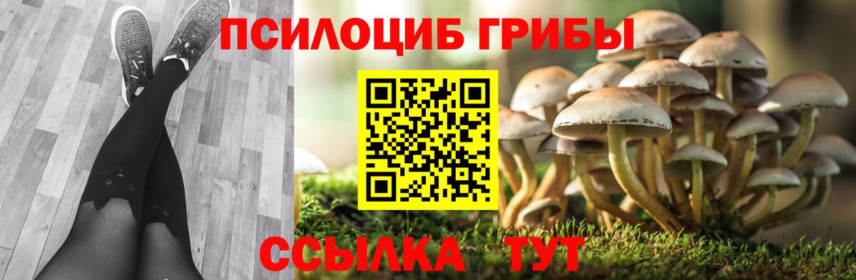 где продают   Вход с VPN  Миллерово  Псилоцибиновые грибы мухоморы 
